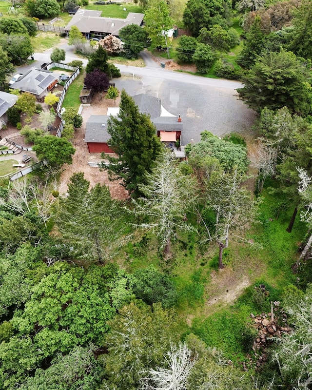 1009 Tilton Rd, Sebastopol, CA 95472 - aerial overview of property's location