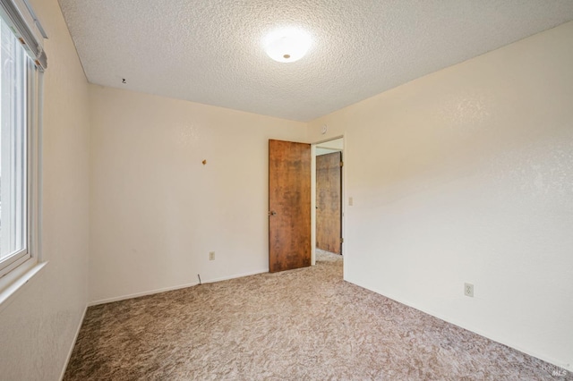 empty room featuring carpet and a textured ceiling