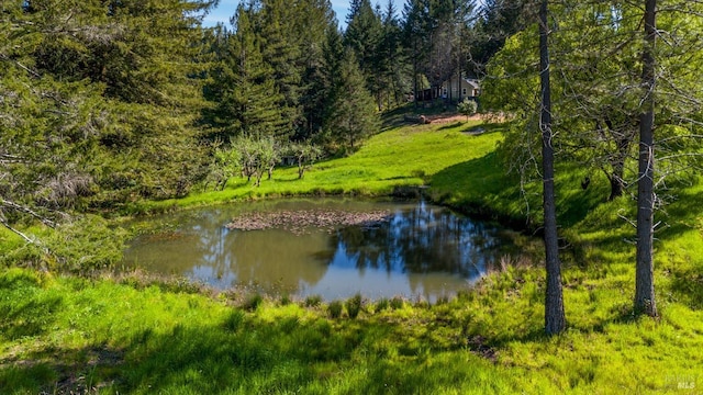 water view