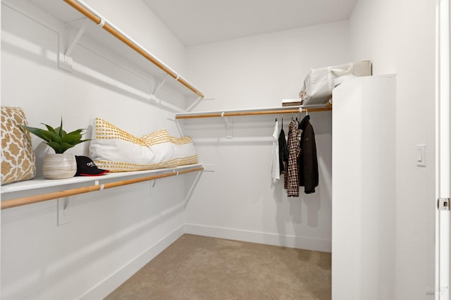 walk in closet featuring light carpet