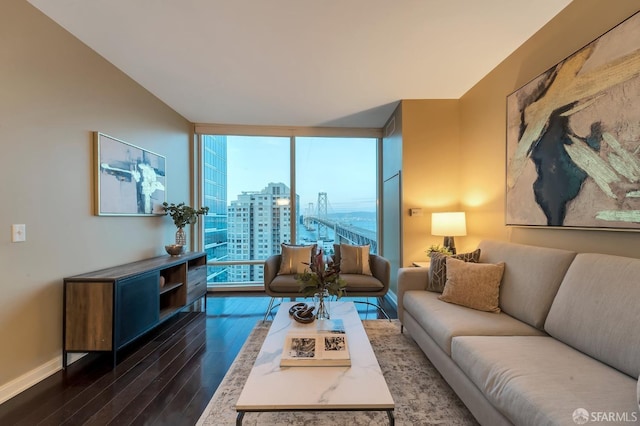 living room featuring a wall of windows, dark wood-style flooring, a city view, and baseboards