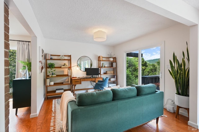 15 Manor View Dr, Fairfax, CA 94930 - living room featuring a desk, plenty of natural light, light wood-style floors, and a textured ceiling