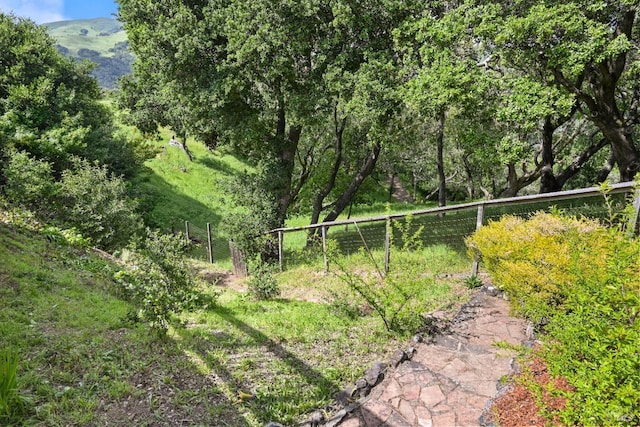 15 Manor View Dr, Fairfax, CA 94930 - view of yard with a mountain view