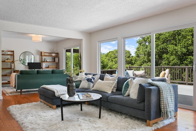 15 Manor View Dr, Fairfax, CA 94930 - living room with wood finished floors and a textured ceiling