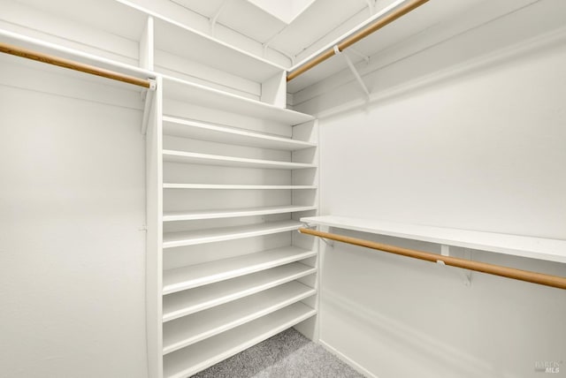 walk in closet featuring carpet floors