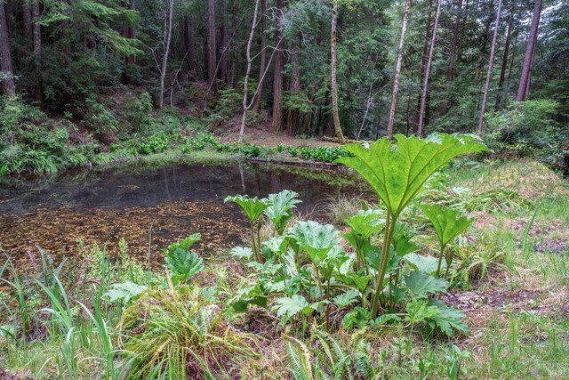 30201 Albion Ridge Rd, Albion, CA 95410