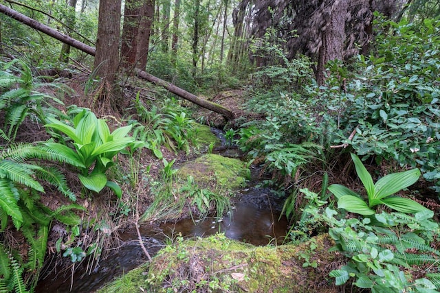30201 Albion Ridge Rd, Albion, CA 95410