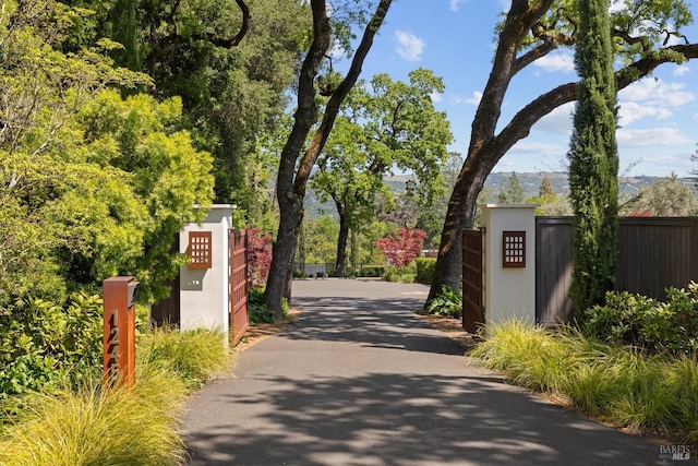 view of road featuring a gate, aphalt driveway, and a gated entry