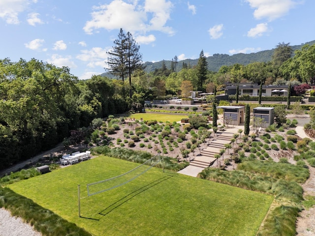 view of property's community featuring a mountain view