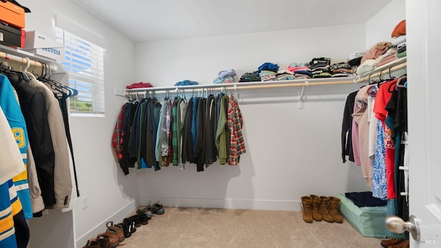 walk in closet with carpet floors