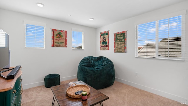 sitting room with carpet floors and baseboards