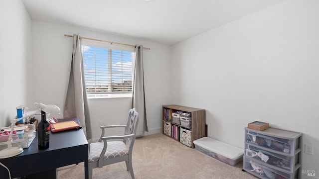 office featuring carpet flooring