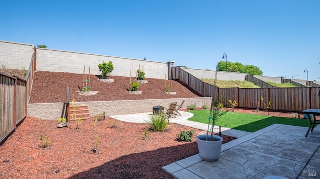 view of yard with a patio area and a fenced backyard