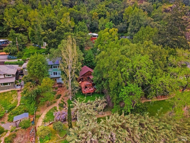 2426 S Fitch Mountain Rd, Healdsburg, CA 95448 - birds eye view of property with a view of trees