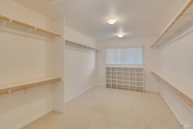 581 Werner Way, Vacaville, CA 95688 - walk in closet featuring carpet floors