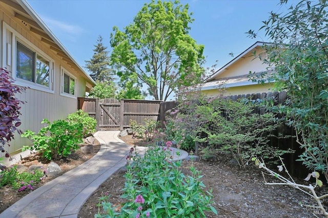 581 Werner Way, Vacaville, CA 95688 - view of yard featuring a gate and fence