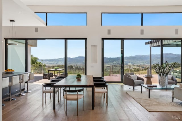 dining space with a mountain view, hardwood / wood-style flooring, and plenty of natural light