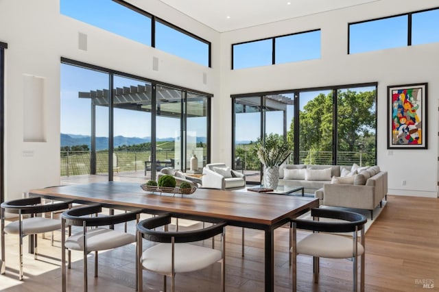 dining area with baseboards, light wood finished floors, a mountain view, and a towering ceiling