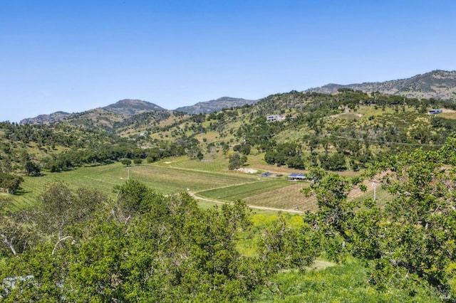 view of mountain feature featuring a rural view