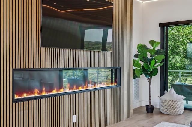 details featuring wood finished floors