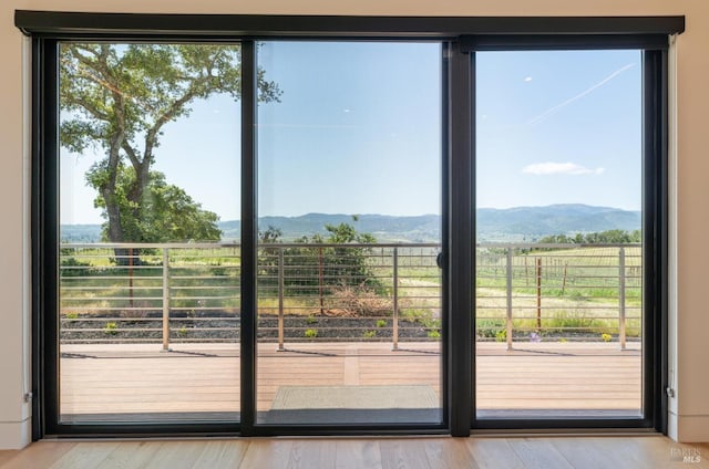 doorway with a mountain view, wood finished floors, and a rural view