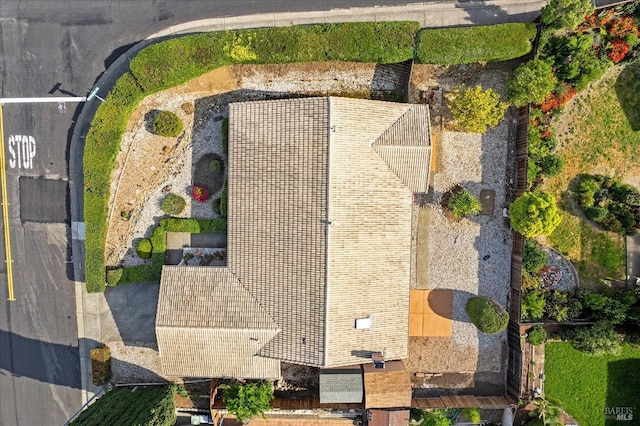 bird's eye view