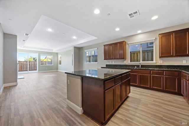 kitchen featuring a center island, light wood finished floors, visible vents, and a raised ceiling