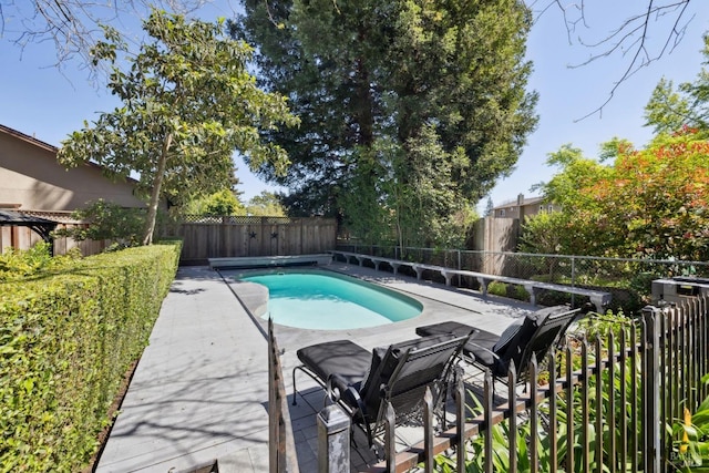 view of pool with a fenced in pool, a patio, and a fenced backyard