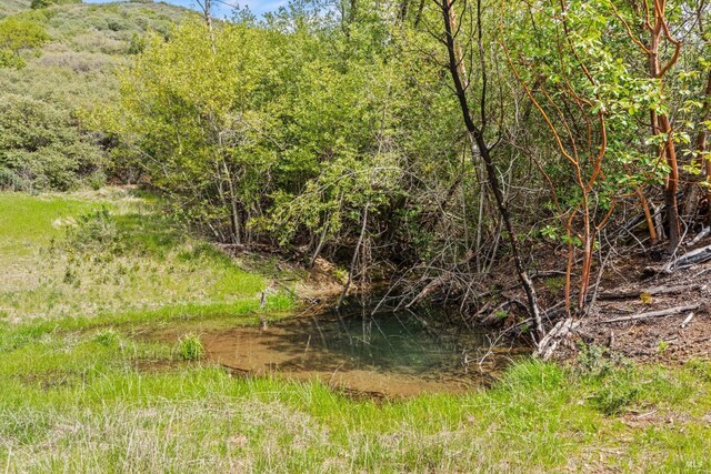 35150 Pine Mountain Rd, Cloverdale, CA 95425