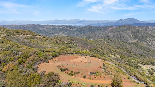 35150 Pine Mountain Rd, Cloverdale, CA 95425