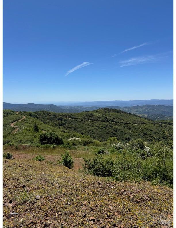 35150 Pine Mountain Rd, Cloverdale, CA 95425