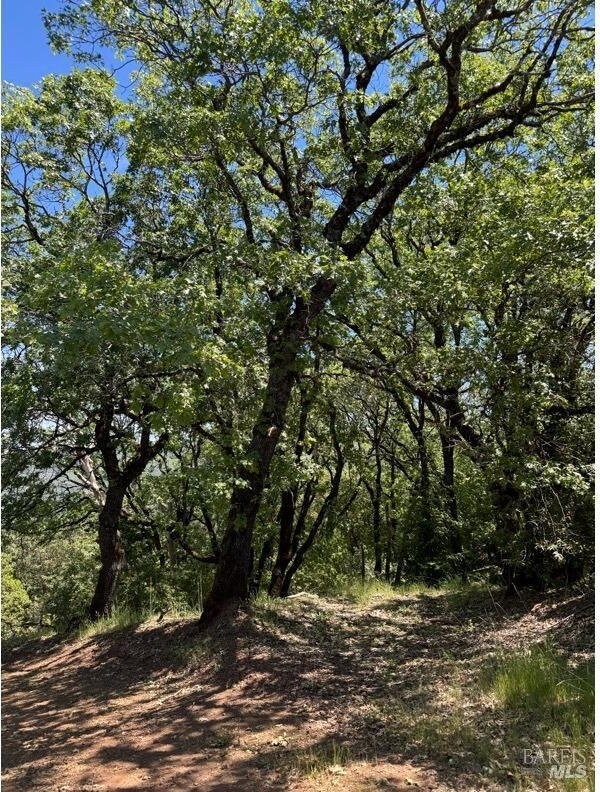 35150 Pine Mountain Rd, Cloverdale, CA 95425