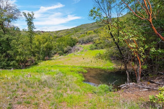35150 Pine Mountain Rd, Cloverdale, CA 95425