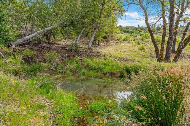 35150 Pine Mountain Rd, Cloverdale, CA 95425
