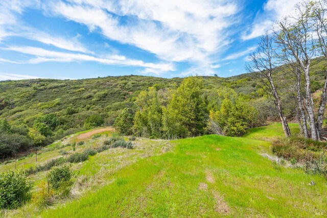 35150 Pine Mountain Rd, Cloverdale, CA 95425