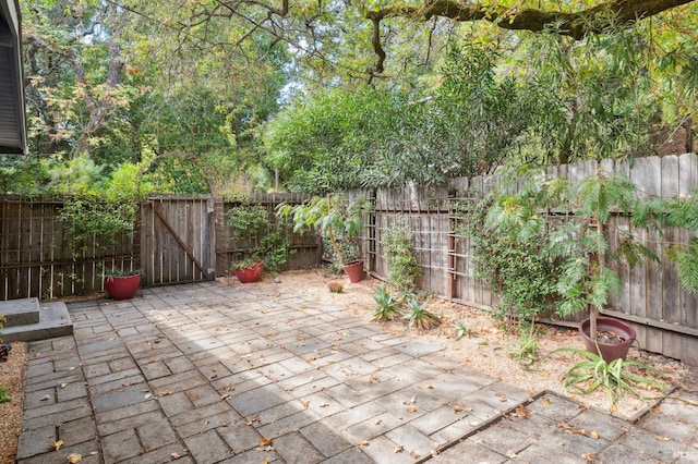 view of patio featuring a gate and a fenced backyard