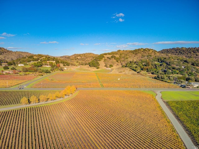 drone / aerial view with a rural view and a mountain view