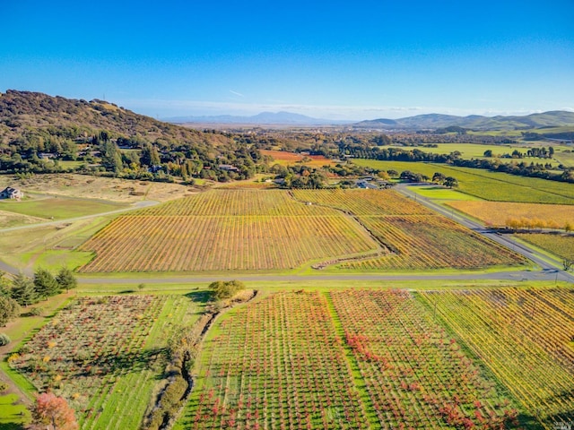 birds eye view of property featuring a rural view and a mountain view