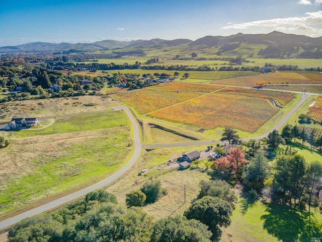 birds eye view of property featuring a rural view and a mountain view