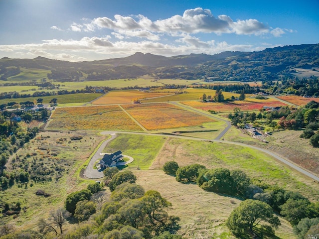 aerial view featuring a rural view and a mountain view