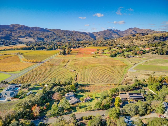 drone / aerial view featuring a rural view and a mountain view