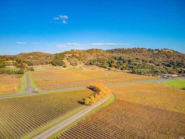 aerial view featuring a rural view and a mountain view