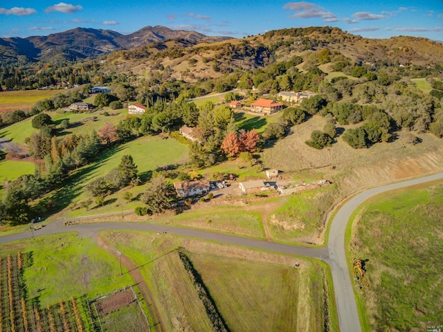 bird's eye view with a mountain view and a rural view