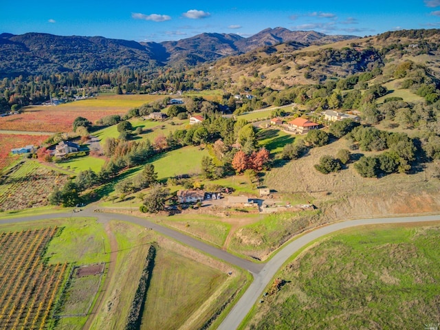 birds eye view of property featuring a mountain view and a rural view