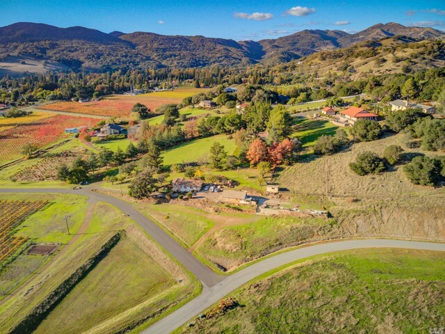 drone / aerial view with a mountain view and a rural view