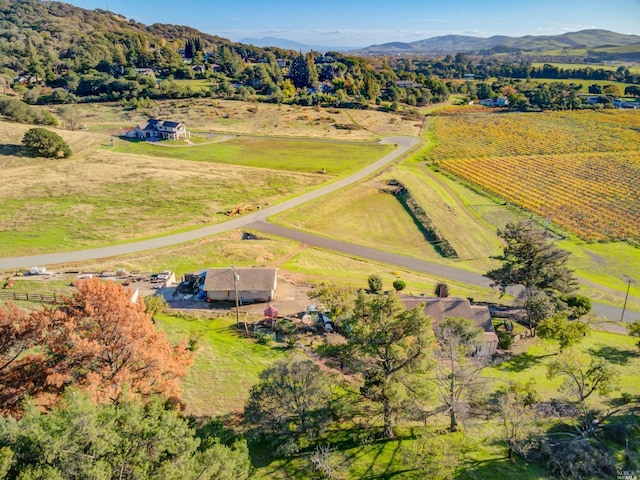 birds eye view of property with a rural view and a mountain view