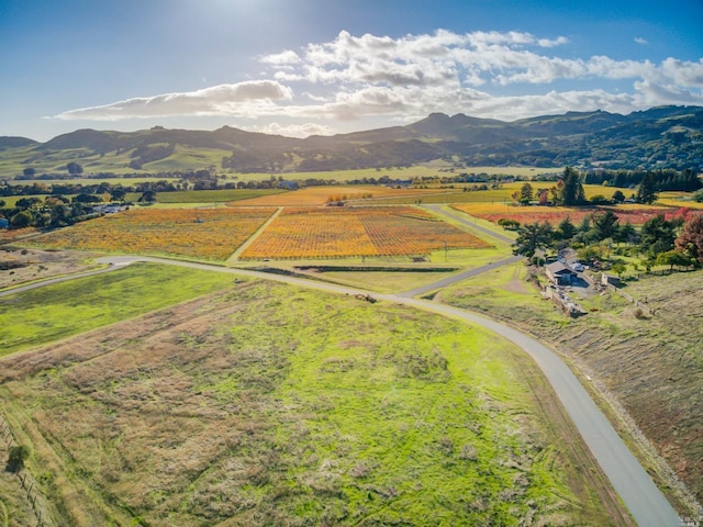 drone / aerial view with a rural view and a mountain view