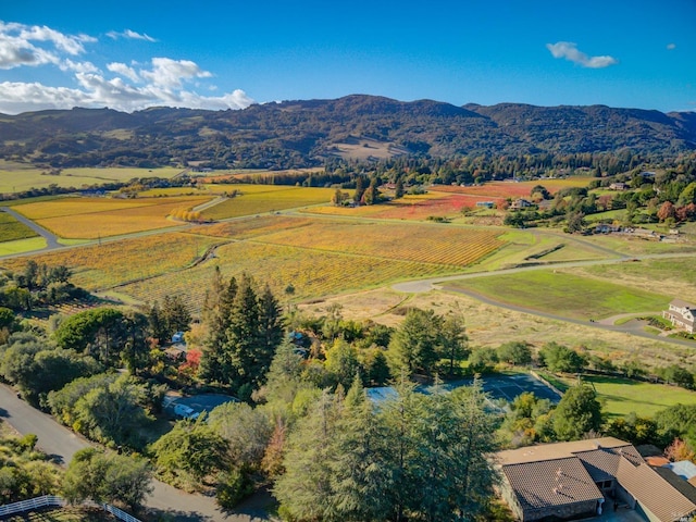 aerial view featuring a rural view and a mountain view