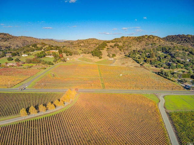 bird's eye view featuring a mountain view and a rural view