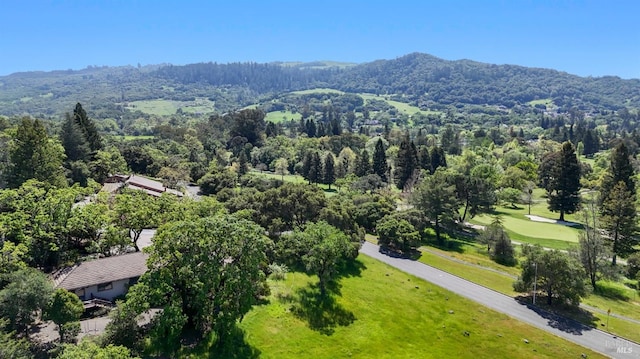 drone / aerial view with a forest view and a mountain view